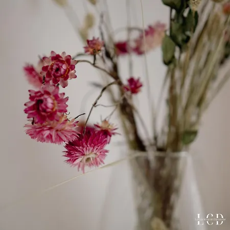 Le Berbisey Centre Apartment *