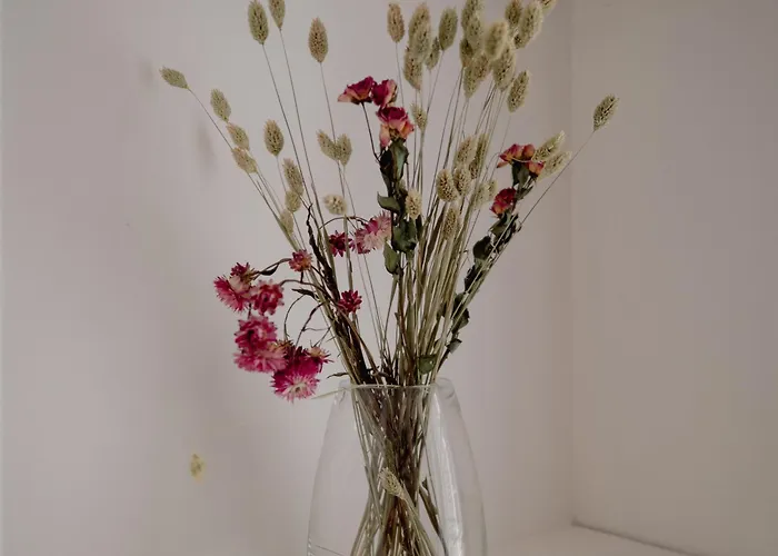 Le Berbisey Centre *