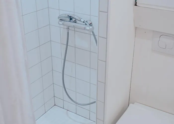 Le Berbisey Centre 公寓 *