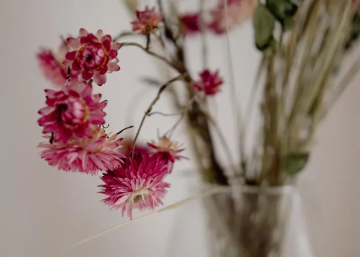 Le Berbisey Centre 公寓 *