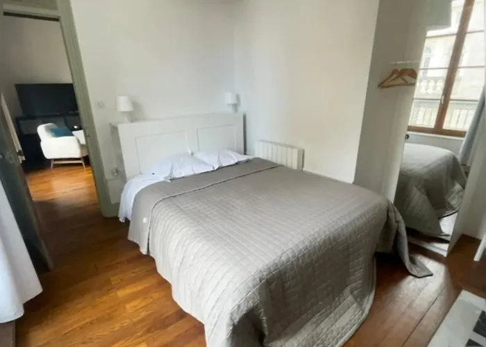 Le Berbisey Centre Apartment Dijon
